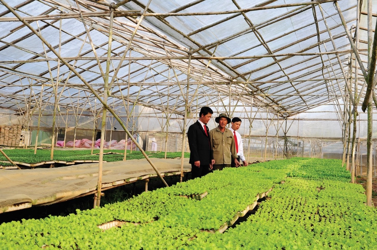Luôn đồng hành với bà con nông dân trong nhiều năm qua, Agribank thực sự là điểm tựa vững chắc cho người nông dân