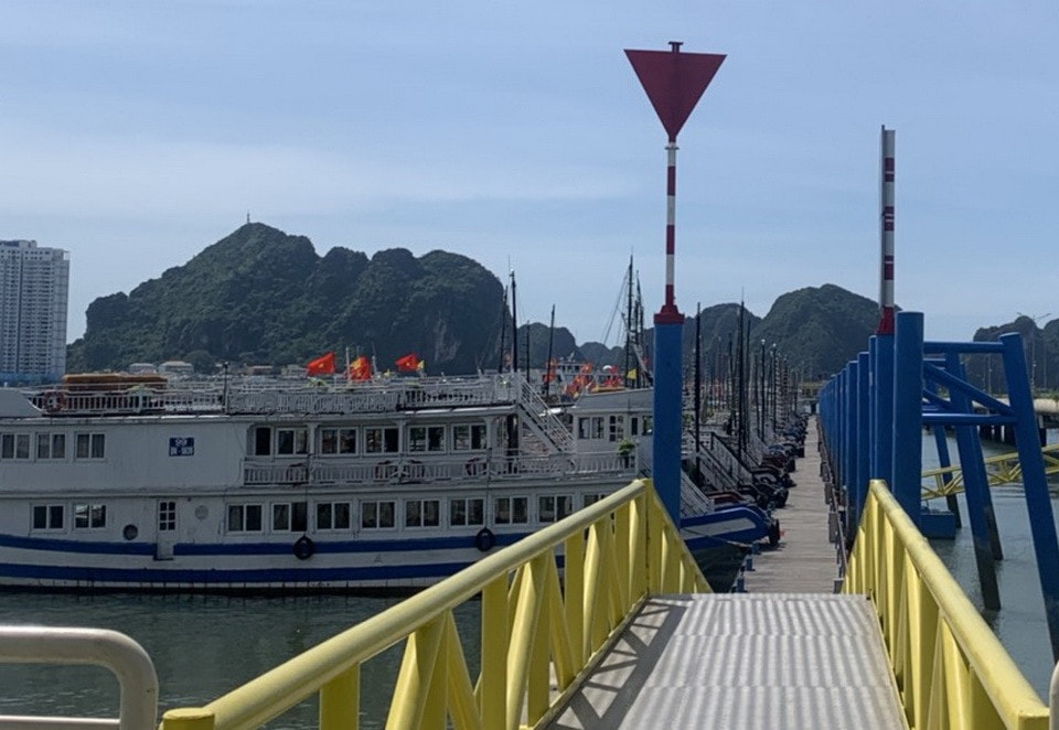 Các du thuyền kinh doanh trên vịnh Lan Hạ và Hạ Long hiện phải về neo đậu tại Quảng Ninh