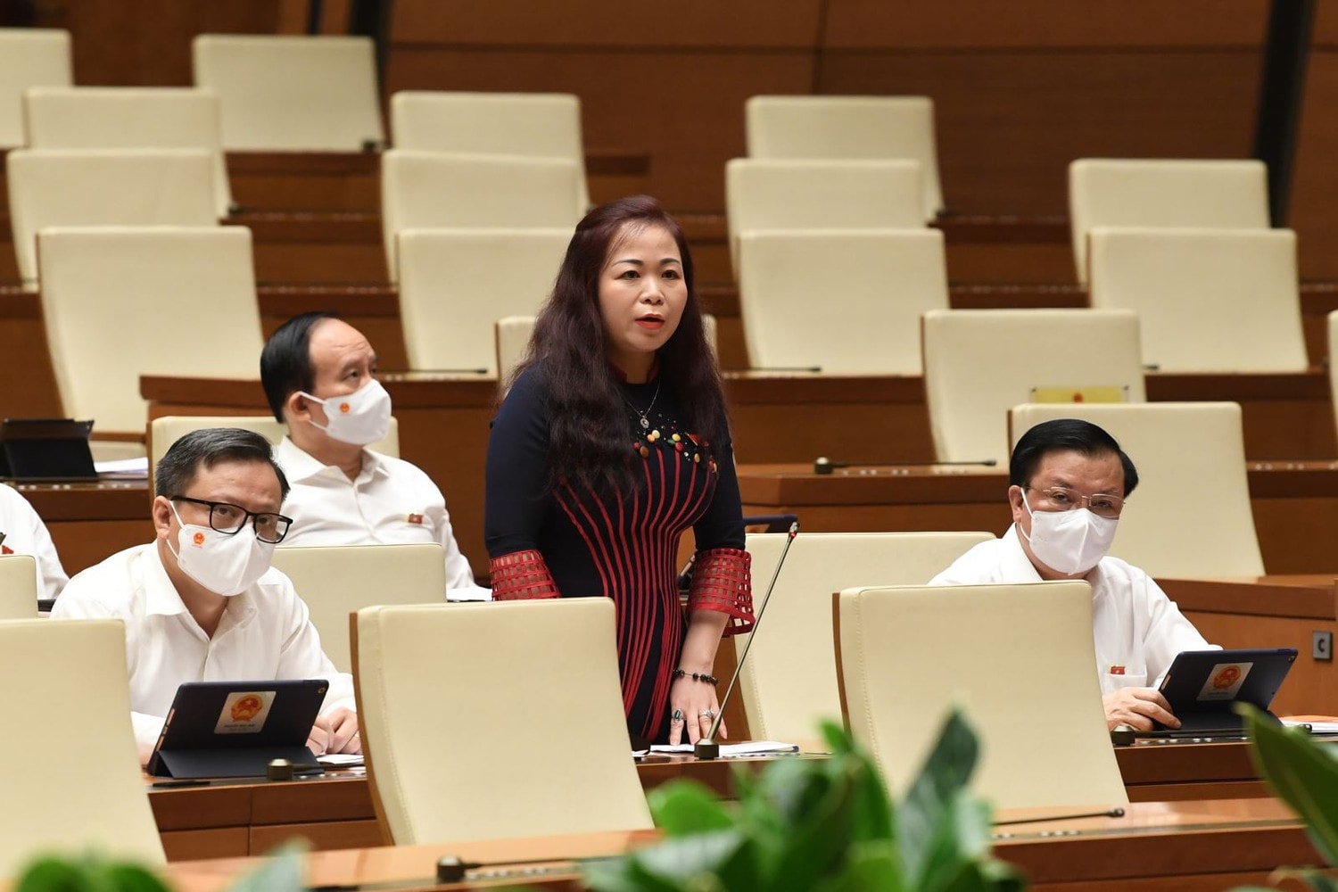 ĐBQH Vũ Thị Lưu Mai (Hà Nội) phát biểu Ảnh: Quang Khánh ĐBQH Vũ Thị Lưu Mai (Hà Nội) phát biểu Ảnh: Quang Khánh