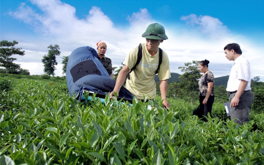 Agribank luôn đòng hành với nông nghiệp, nông dân trong cuộc chiến với Covid-19 Ảnh: Bảo Linh