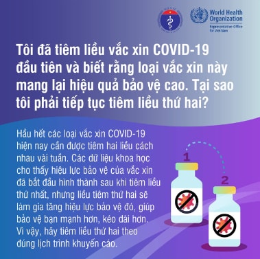 Những điều cần biết về vaccine COVID-19 ảnh 6