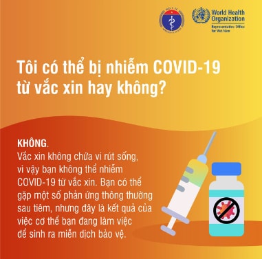 Những điều cần biết về vaccine COVID-19 ảnh 9