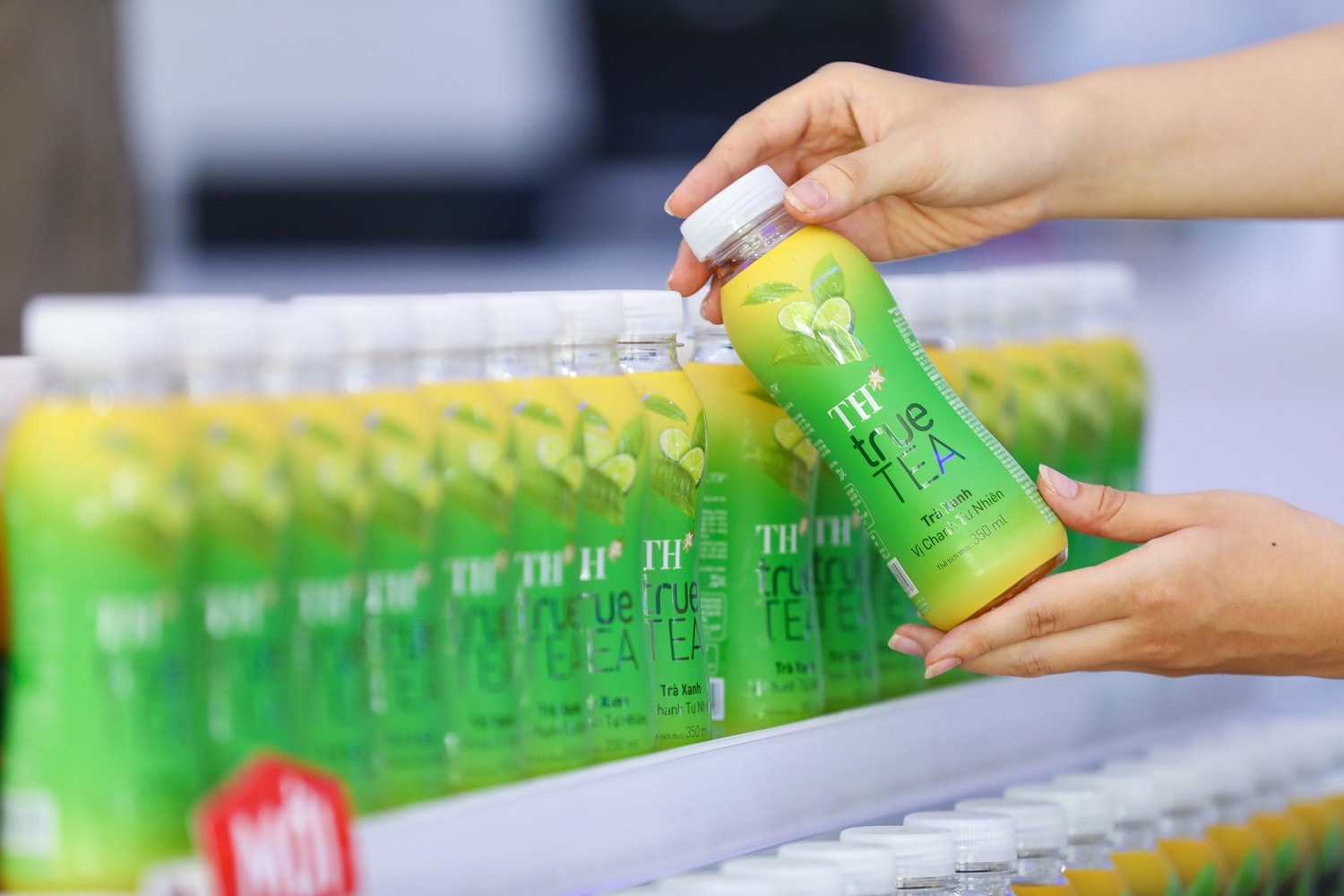 TH true TEA – trà xanh vị chanh tự nhiên là sự hòa quyện giữa những lá trà Shan Tuyết từ cao nguyên Hà Giang và nguồn nước ngầm núi lửa triệu năm.