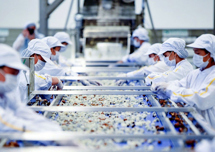 Nông sản Việt Nam đã có bước chuyển về chất, thâm nhập được các thị trường yêu cầu cao như: Mỹ, châu Âu, Nhật Bản…