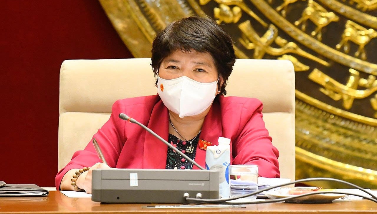 Chủ nhiệm Ủy ban Xã hội Nguyễn Thúy Anh phát biểu tại phiên họp Ảnh: Trung Thành