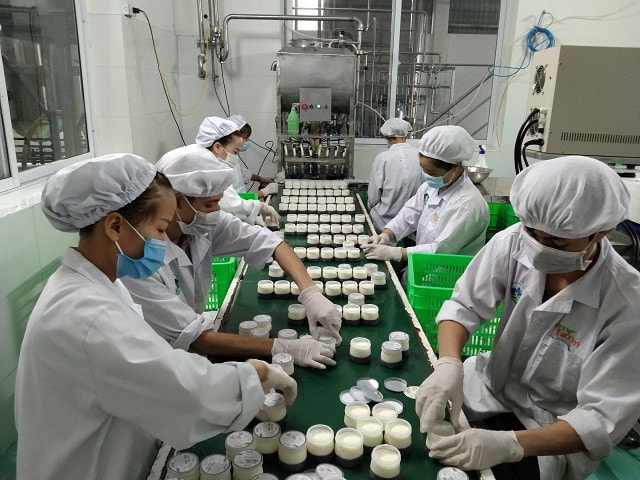 Sản xuất sữa tại Công ty Cổ phần Sữa Nông trại Ba Vì
