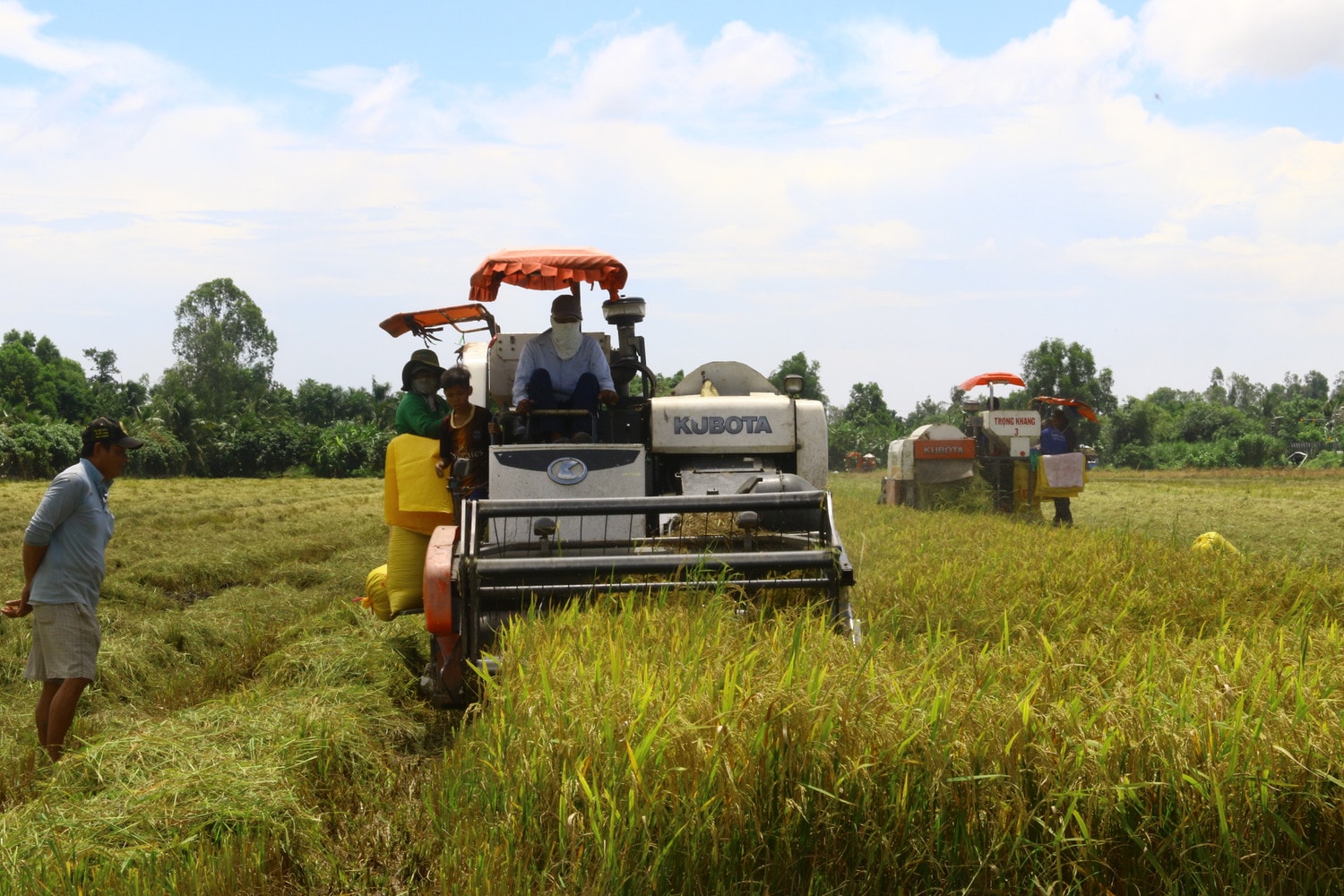 Hậu Giang tập trung phát triển nông nghiệp xanh, thông minh Hậu Giang tập trung phát triển nông nghiệp xanh, thông minh
