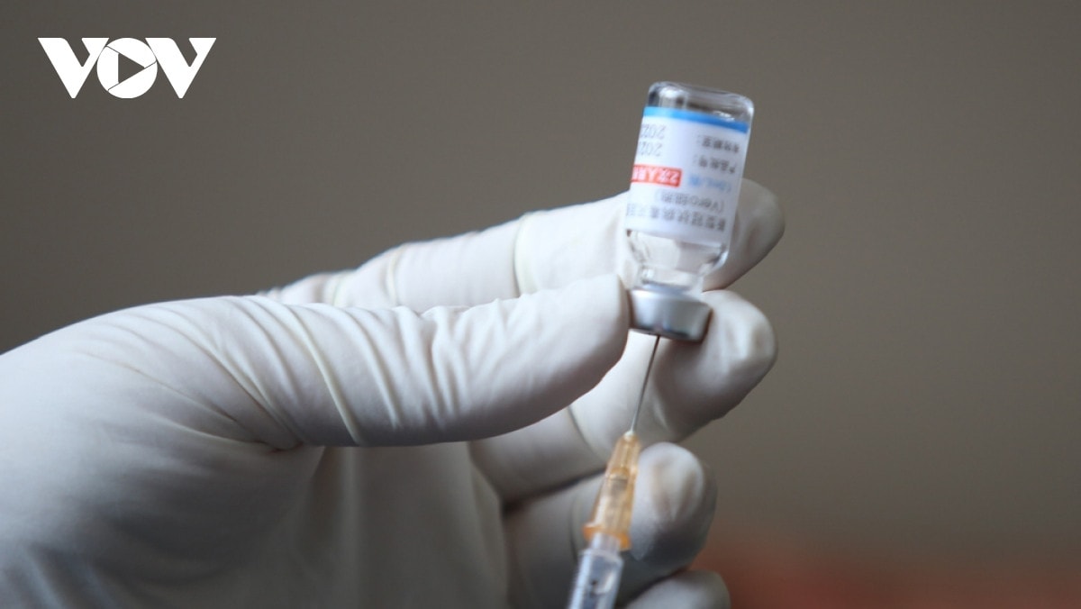 Tất cả vaccine đều phải được kiểm định và cấp giấy chứng nhận trước khi sử dụng tiêm cho người dân