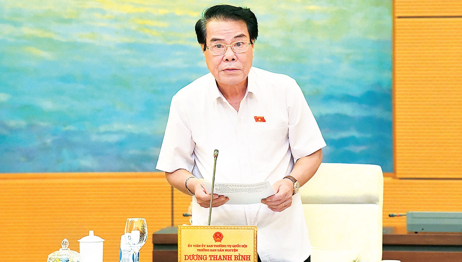 Trưởng ban Dân nguyện Dương Thanh Bình phát biểu tại phiên họp Ảnh: Lâm Hiển