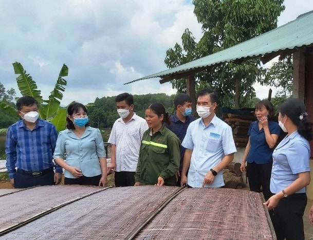 Phó Chủ tịch HĐND tỉnh, Trưởng đoàn giám sát Hoàng Thị Thanh Bình (thứ hai bên trái) giám sát việc thực hiện Nghị quyết số 69 tại huyện Trấn Yên