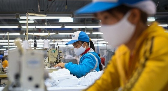 Dịch Covid-19 đã ảnh hưởng không ít đến các doanh nghiệp Việt