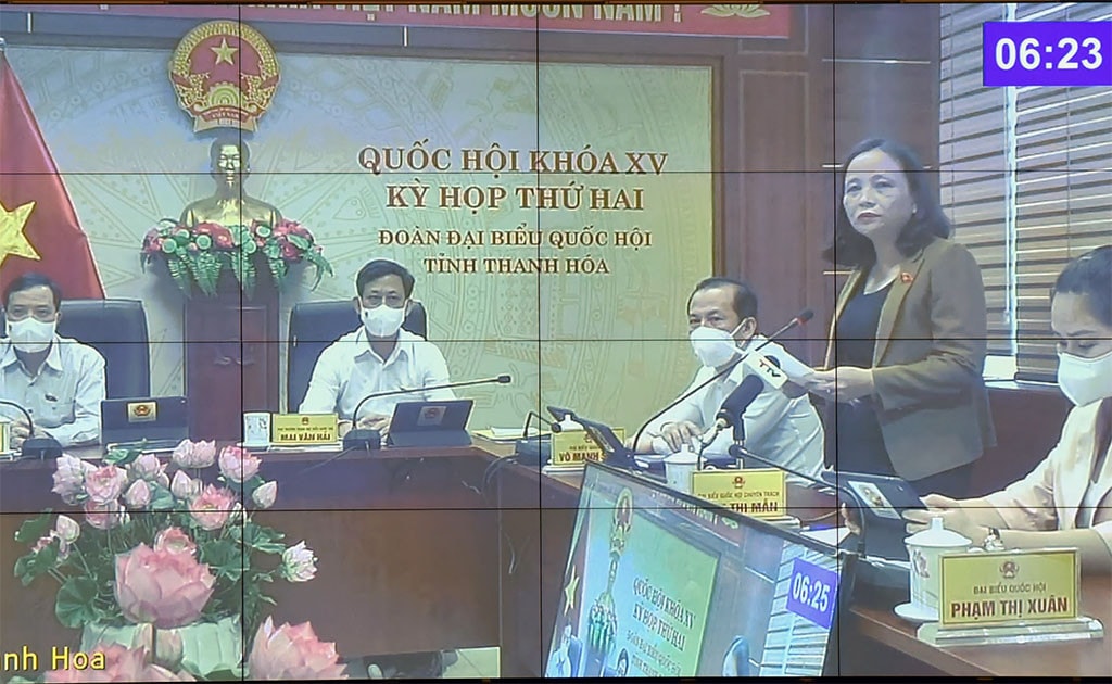 ĐBQH Cầm Thị Mẫn (Thanh Hóa) phát biểu tại điểm cầu tỉnh Thanh Hóa Ảnh: Quang Khánh
