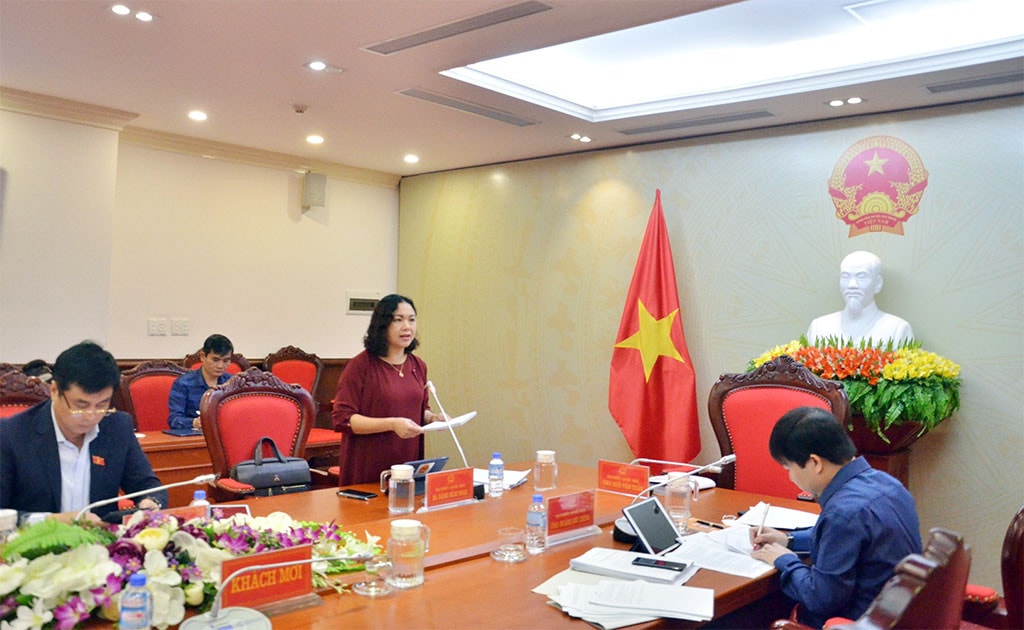 Đại biểu Đặng Bích Ngọc phát biểu tại phiên thảo luận