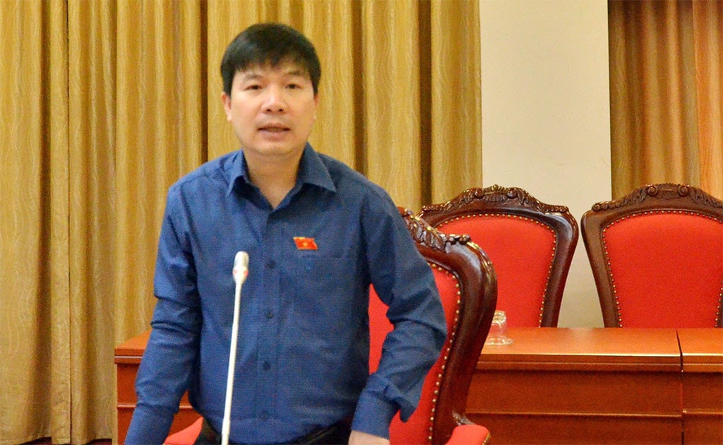 Phó trưởng Đoàn ĐBQH tỉnh Hoàng Đức Chính phát biểu