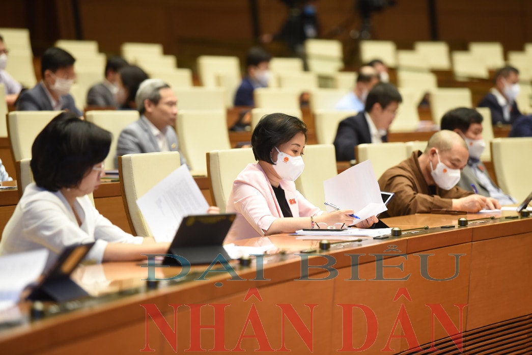 Ảnh: Quang Khánh