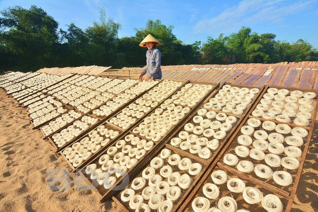 Phơi bún ở làng nghề truyền thống bún - bánh An Thái (xã Nhơn Phúc, TX An Nhơn).