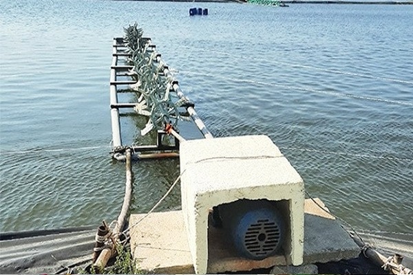 Các sáng kiến được áp dụng thực tế đời sống