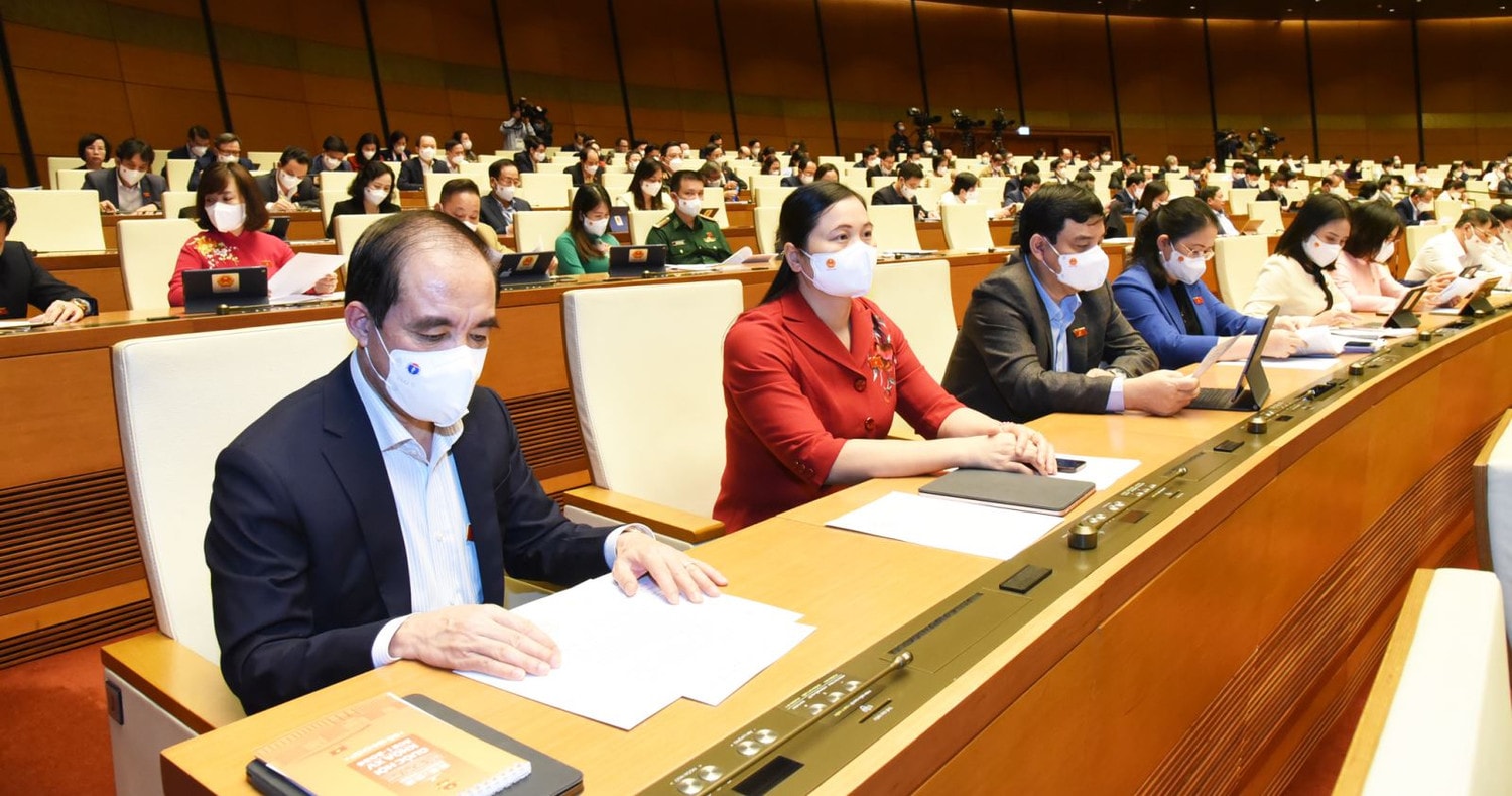 Đoàn đại biểu Quốc hội tỉnh Tuyên Quang tại phiên họp Ảnh: Quang Khánh