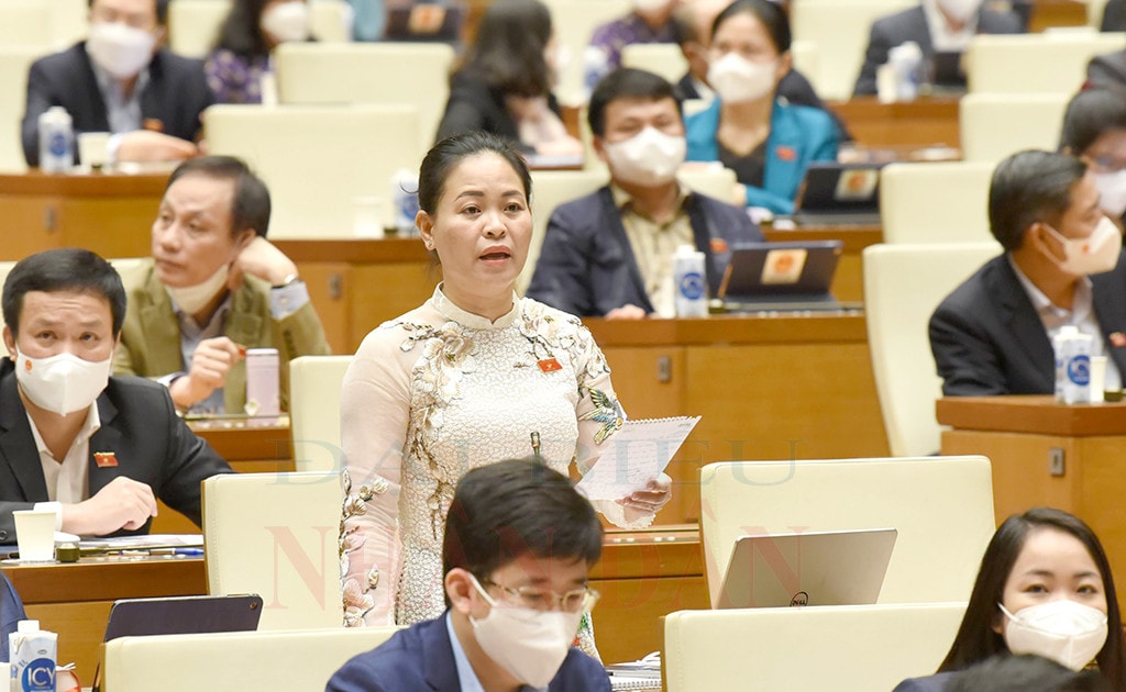 ĐBQH Nguyễn Thị Thu Dung (Thái Bình) Ảnh: Quang Khánh Ảnh: Quang Khánh