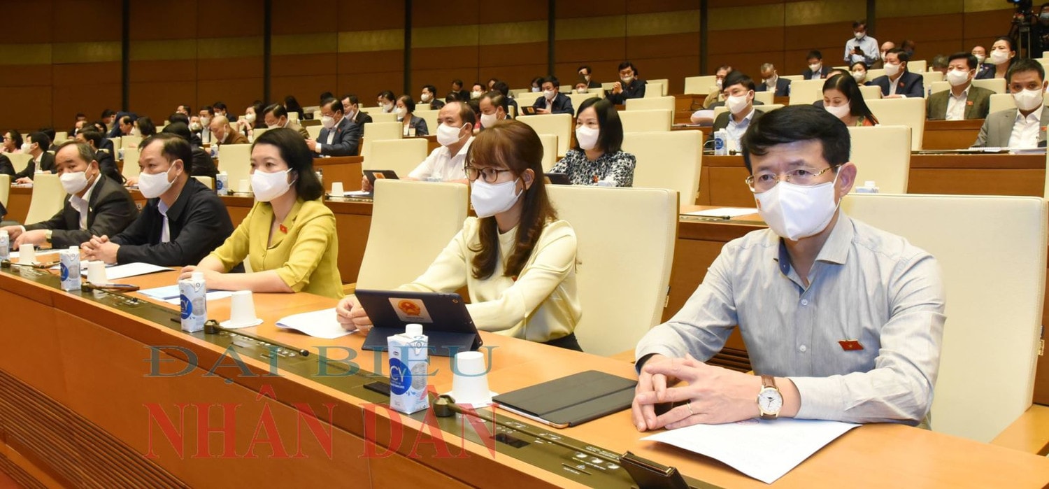 Đoàn Đại biểu Quốc hội tỉnh Nam Định Ảnh: Quang Khánh