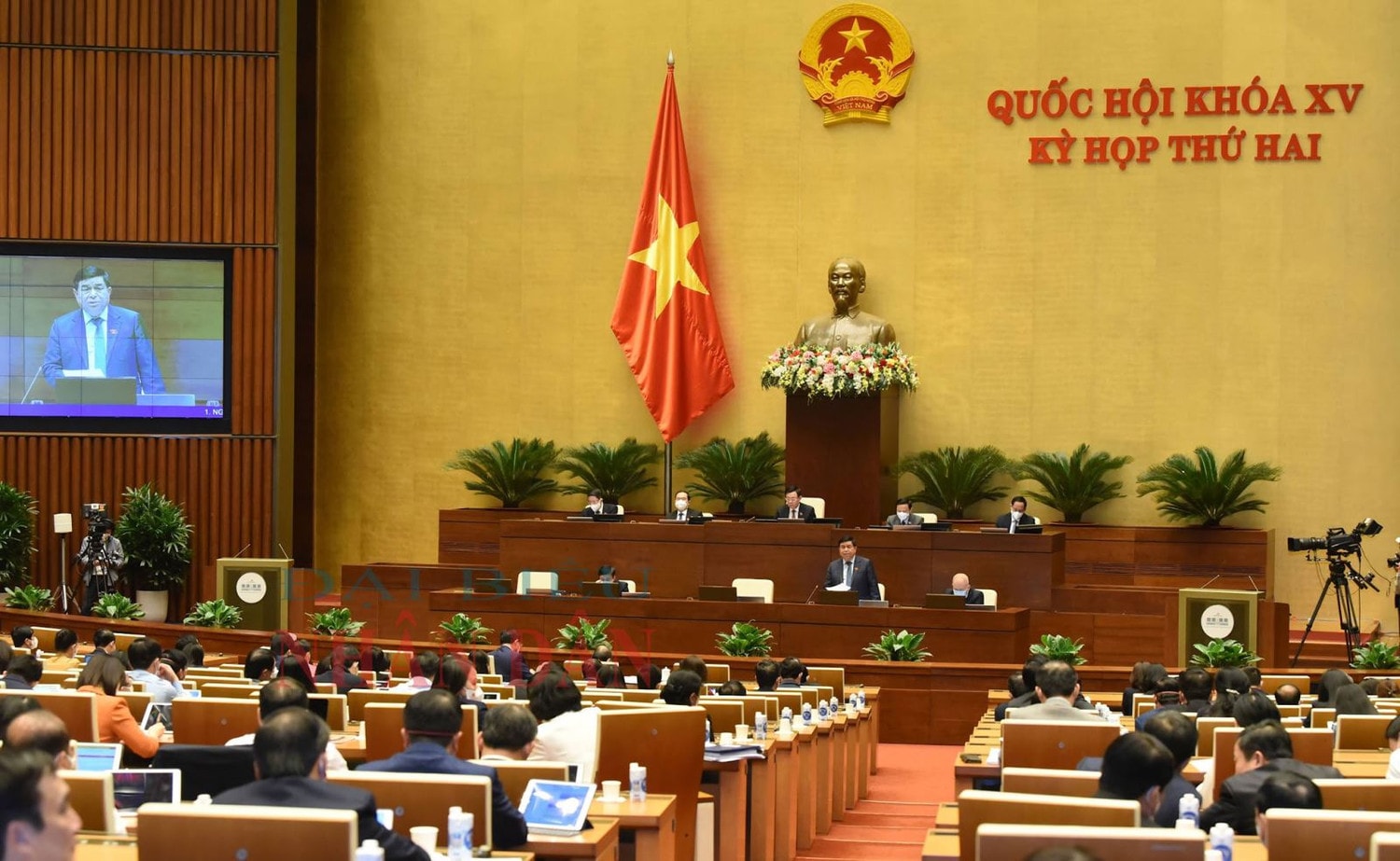 Ảnh: Quang Khánh