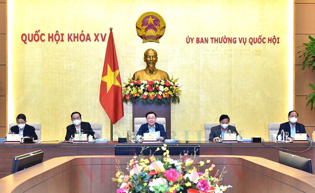Ảnh: Lâm Hiển