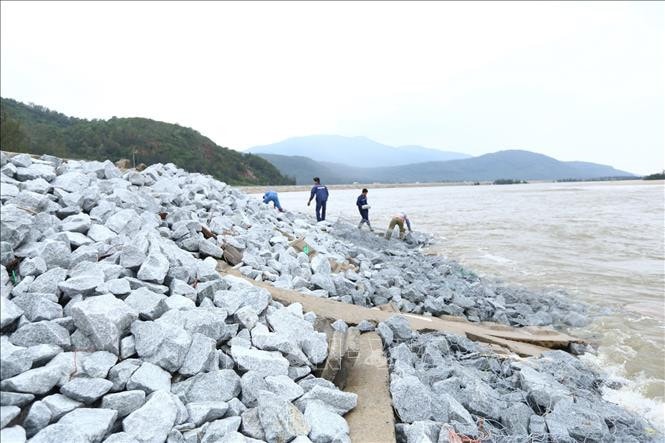 Gia cố đê biển xã Thịnh Lộc (huyện Lộc Hà, Hà Tĩnh). Nguồn: TTXVN