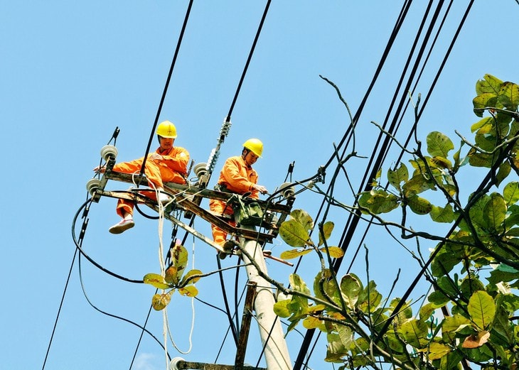 	EVN tiết kiệm hiệu quả nguồn lực nhờ đấu thầu qua mạng Nguồn: ITN