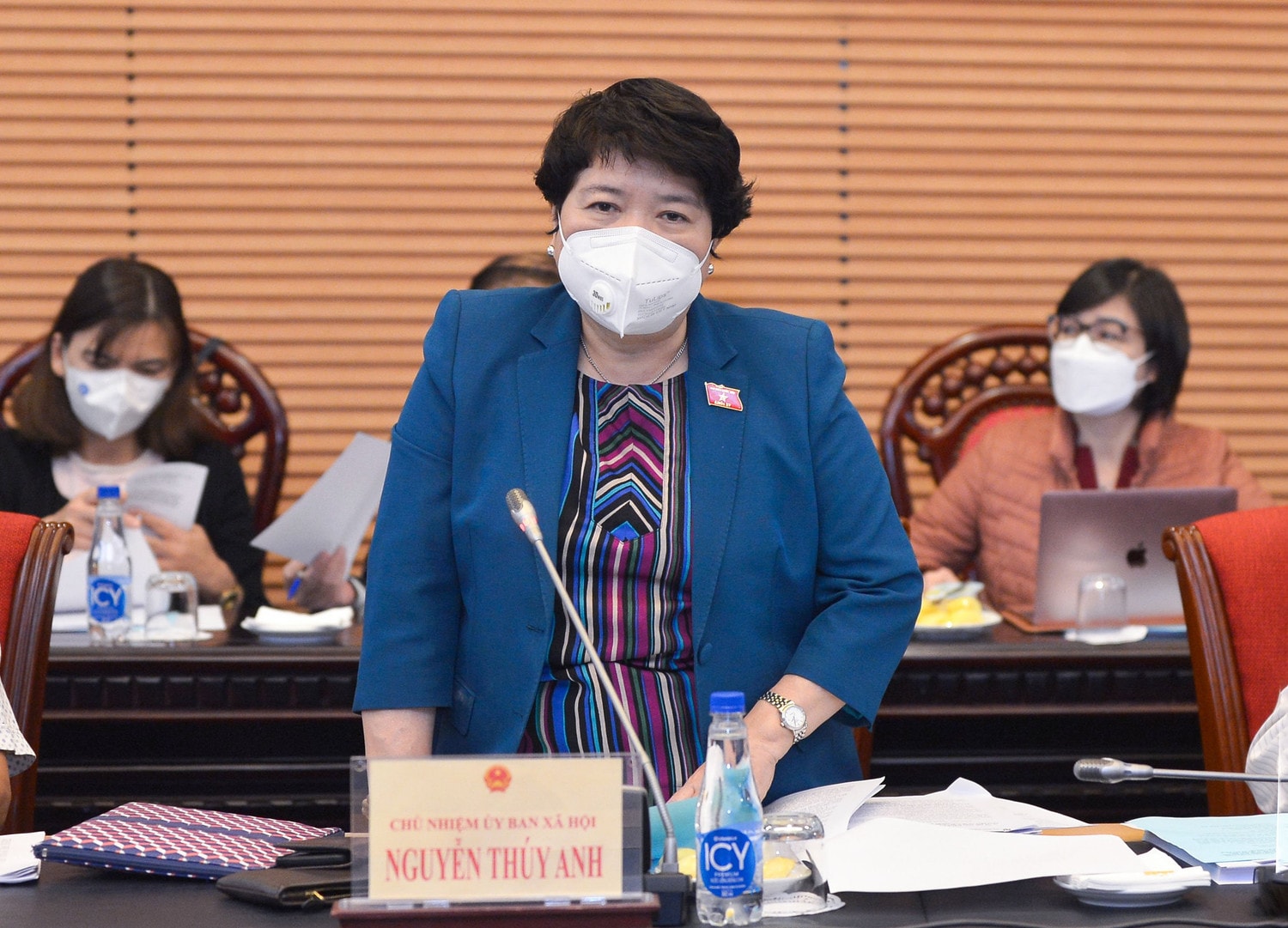Chủ nhiệm Ủy ban Xã hội Nguyễn Thúy Anh phát biểu tại phiên họp