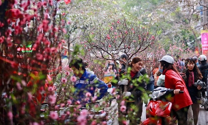 Bộ Lao động, Thương binh và Xã hội chính thức đề xuất nghỉ Tết Âm lịch Nhâm Dần 9 ngày