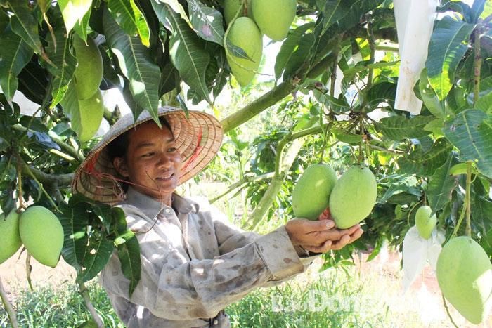 Trồng trọt là lĩnh vực then chốt của tỉnh Đồng Nai cần tập trung phát triển ứng dụng công nghệ cao Nguồn: ITN