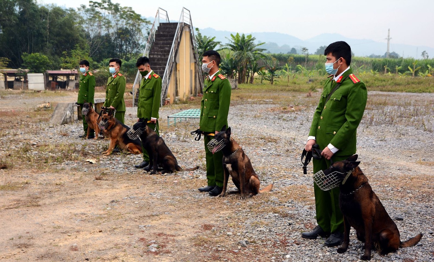 Lực lượng CSCĐ tỉnh đang huấn luyện chó nghiệp vụ Lực lượng CSCĐ tỉnh đang huấn luyện chó nghiệp vụ