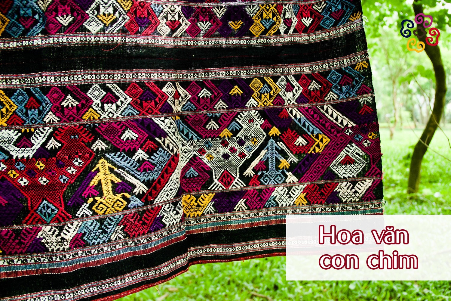 	Hoa văn con chim