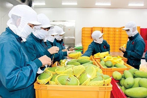 Năm 2021, xuất khẩu nông sản đạt mức kỷ lục với trên 48 tỷ USD Nguồn: ITN