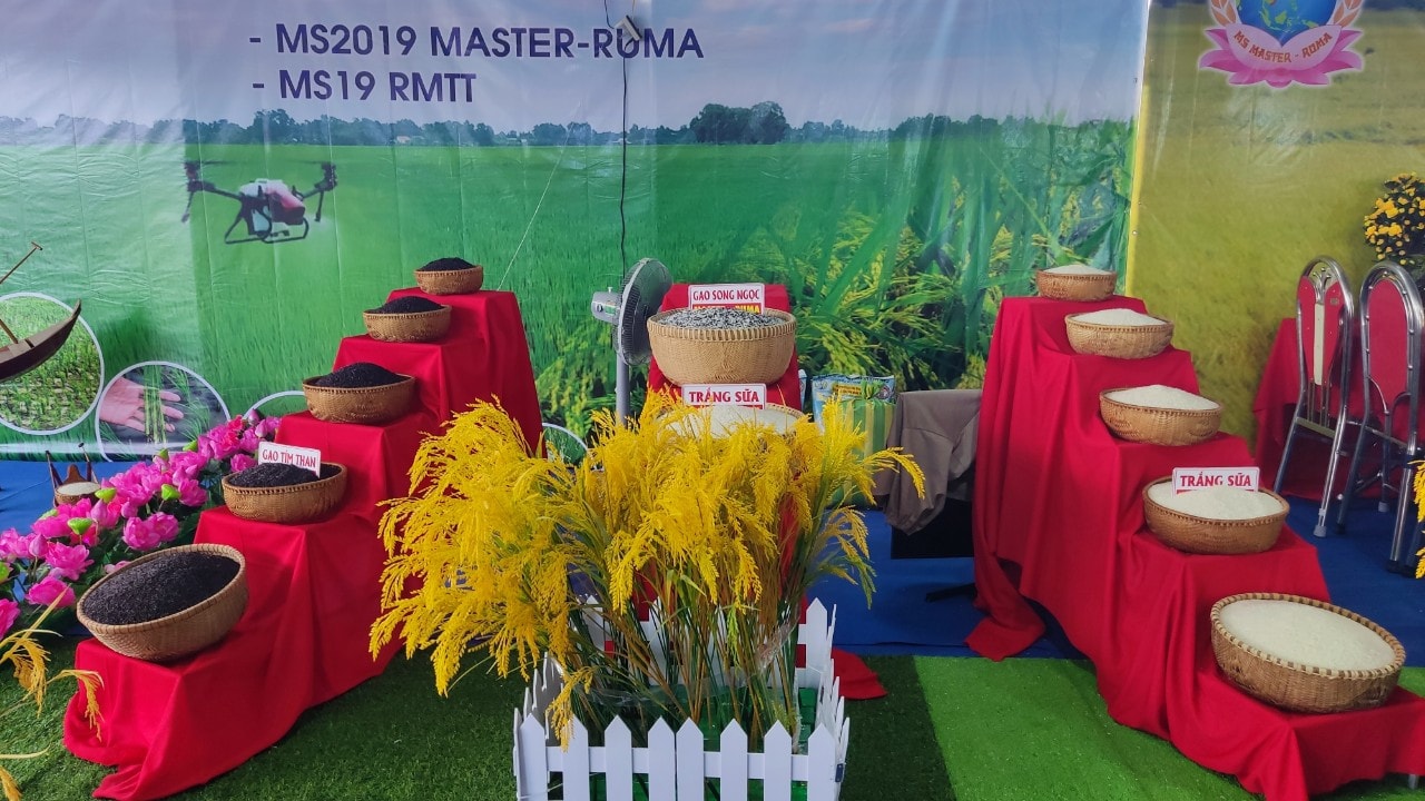 	Hàng trăm loại gạo đã góp mặt ở Festival lúa gạo lần thứ V tại VĨnh Long