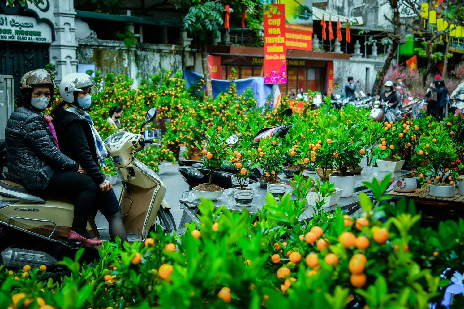 Nhộn nhịp sắc xuân phố phường Hà Nội -0