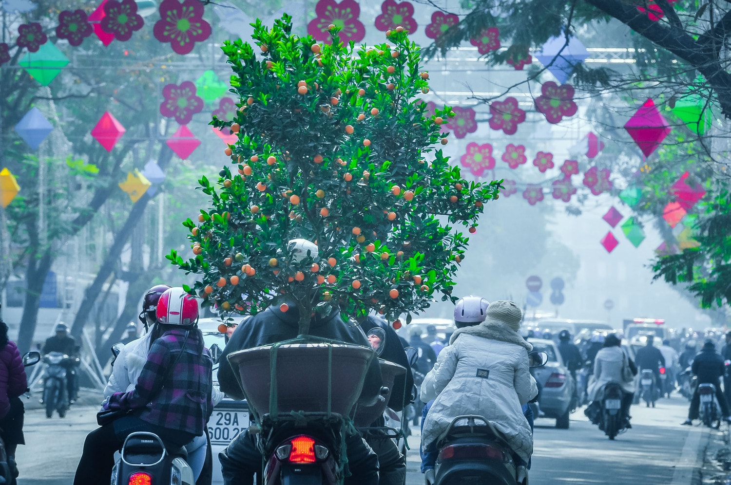Nhộn nhịp sắc xuân phố phường Hà Nội -1