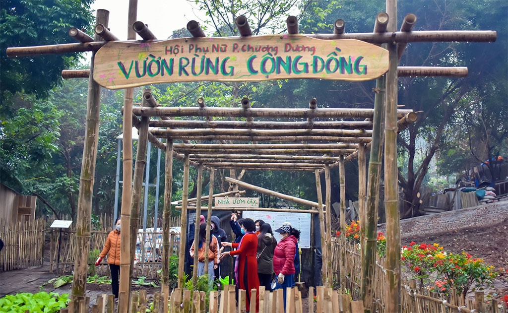 Không gian Vườn rừng cộng đồng ở bờ vở sông Hồng.