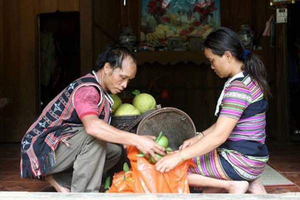 Nguồn vốn tín dụng chính sách đã giúp bà con biết trồng các loại cây hàng hóa, mang lại thu nhập ổn định. Ảnh: Đình Hiệp
