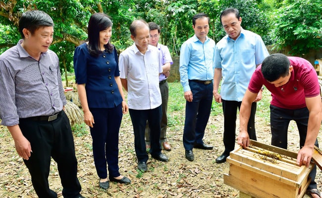 Ủy viên Trung ương Đảng, Bí thư Tỉnh ủy, Trưởng Đoàn ĐBQH tỉnh Chẩu Văn Lâm và Phó Chủ tịch Thường trực HĐND tỉnh Phạm Thị Minh Xuân thăm mô hình nuôi ong lấy mật ở huyện Yên Sơn