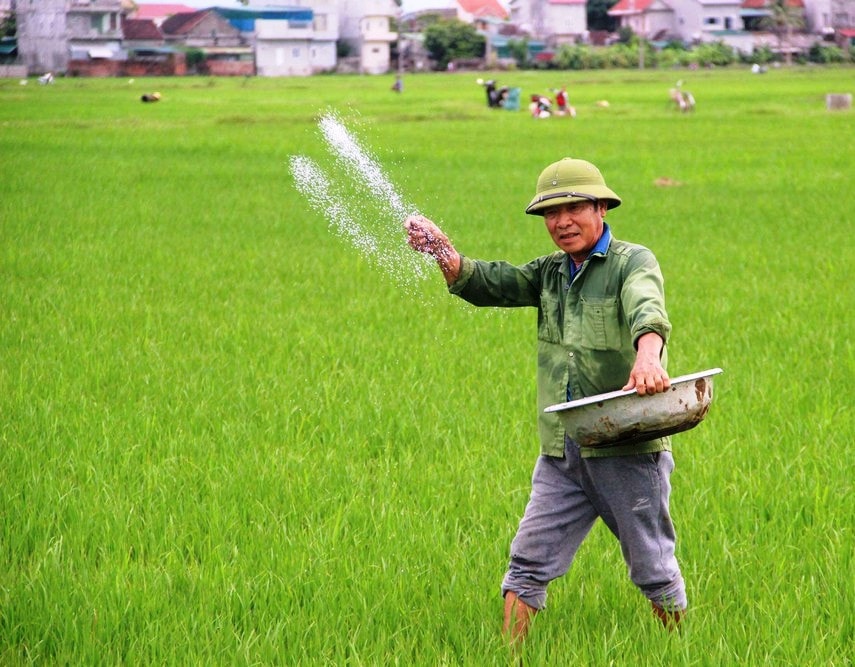 Giá phân bón tăng, Bộ Nông nghiệp và Phát triển Nông thôn khuyến khích người dân dùng phân bón hữu cơ Nguồn: ITN