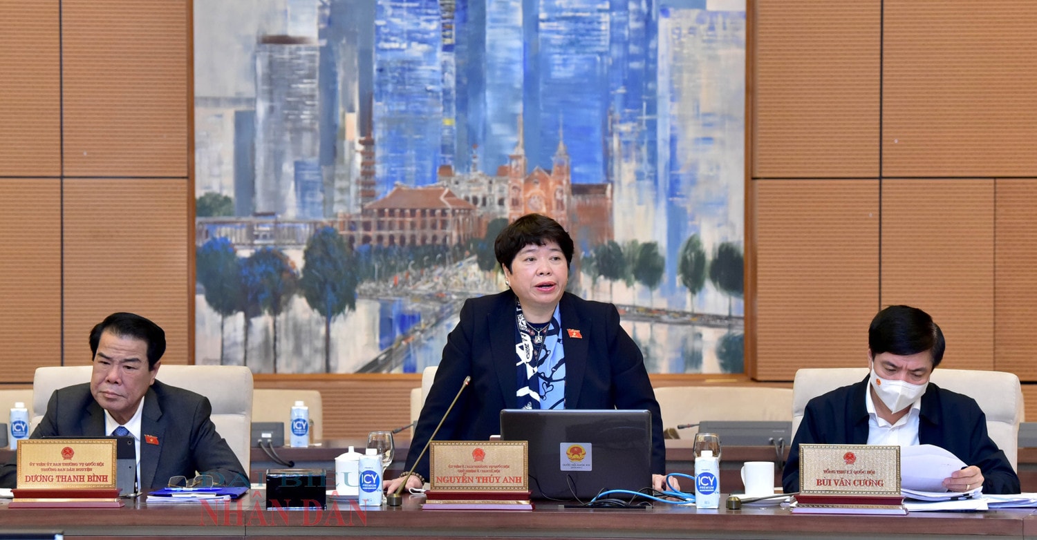 Chủ nhiệm Ủy ban Xã hội Nguyễn Thúy Anh phát biểu Ảnh: Lâm Hiển
