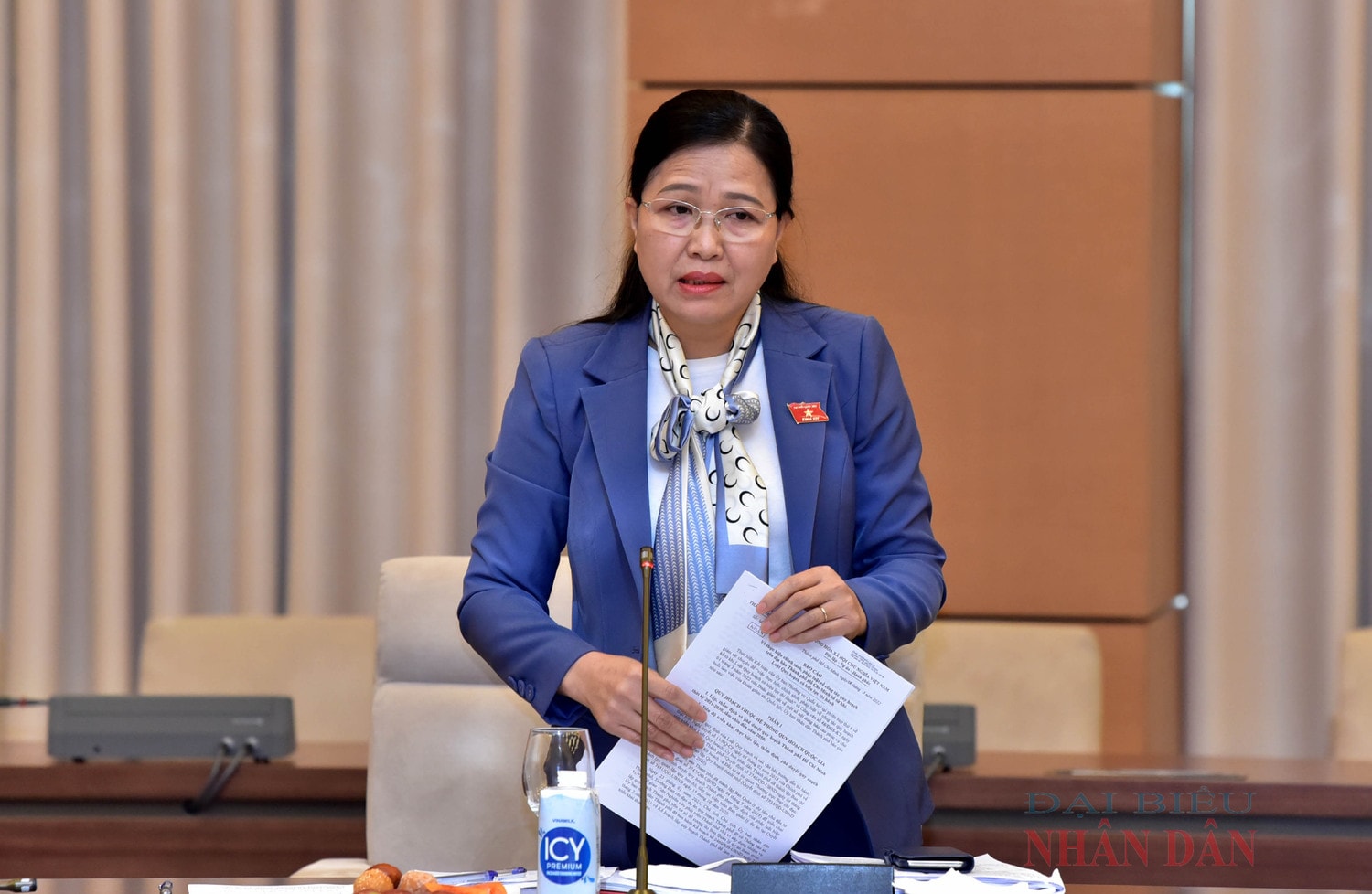 Phó Chủ nhiệm Ủy ban Xã hội Đỗ Thị Lan phát biểu Ảnh: Lâm Hiển