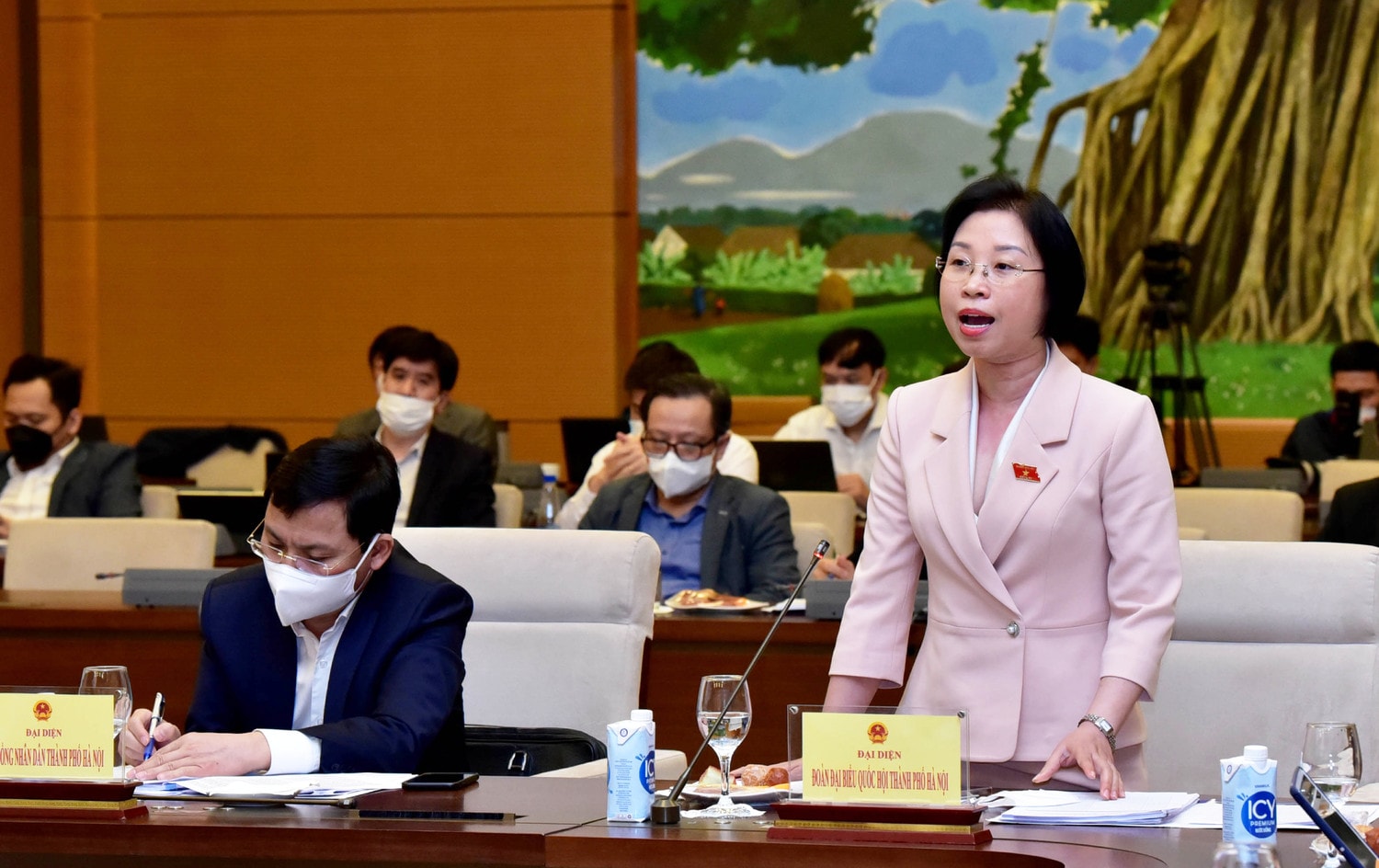Phó Trưởng Đoàn ĐBQH chuyên trách TP Hà Nội Phạm Thị Thanh Mai phát biểu Ảnh: Lâm Hiển