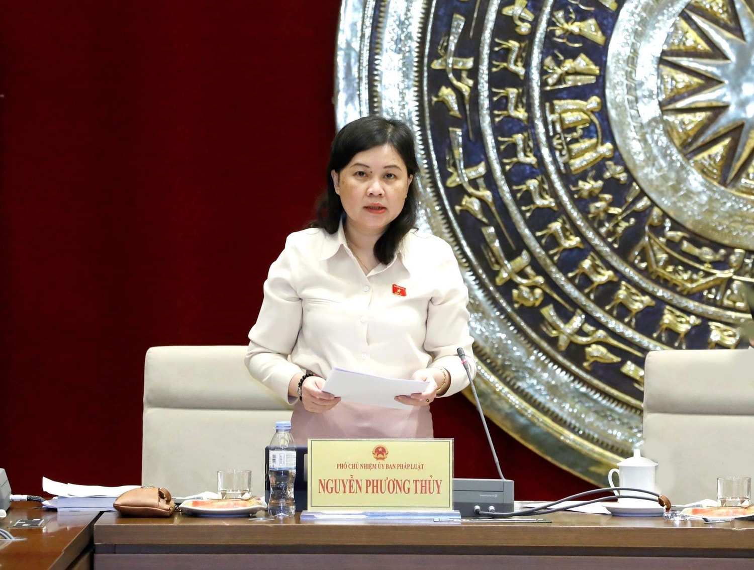 Phó Chủ nhiệm Ủy ban Pháp luật Nguyễn Phương Thủy trình bày Báo cáo nghiên cứu về dự án Luật Ảnh: Hồ Long
