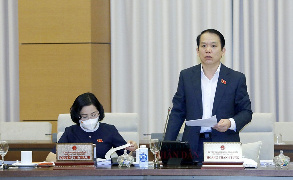 Chủ nhiệm Ủy ban Pháp luật Hoàng Thanh Tùng phát biểu tại phiên họp Ảnh: Hồ Long