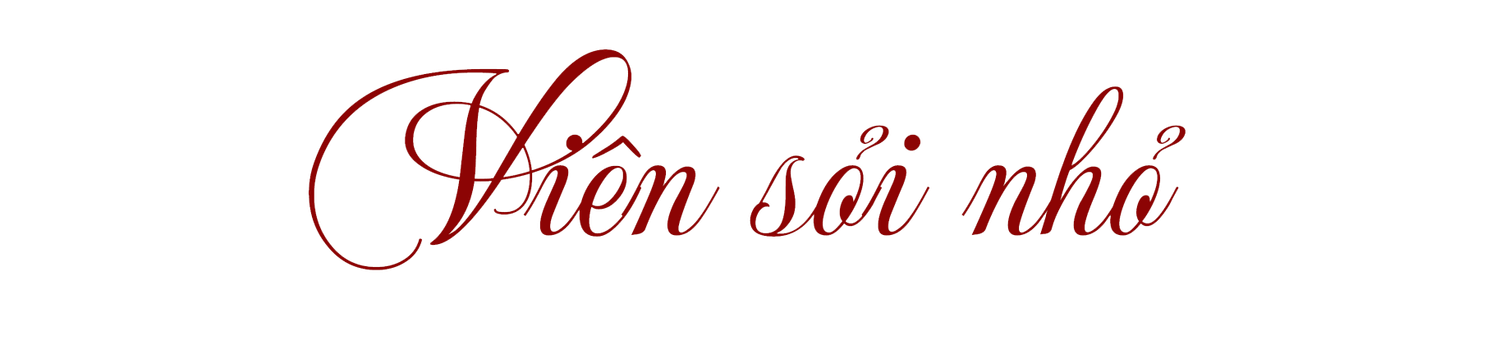 Viên sỏi nhỏ ảnh 1