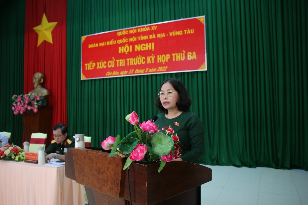 Phó Thủ tướng Thường trực Chính phủ Phạm Bình Minh tiếp xúc cử tri tại Bà Rịa - Vũng Tàu -0