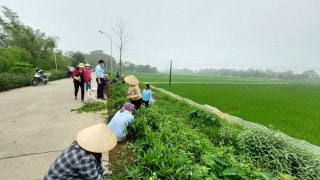 Ra quân tổng vệ sinh môi trường tại xã Trường Yên, huyện Chương Mỹ - Tường Vy.jpg