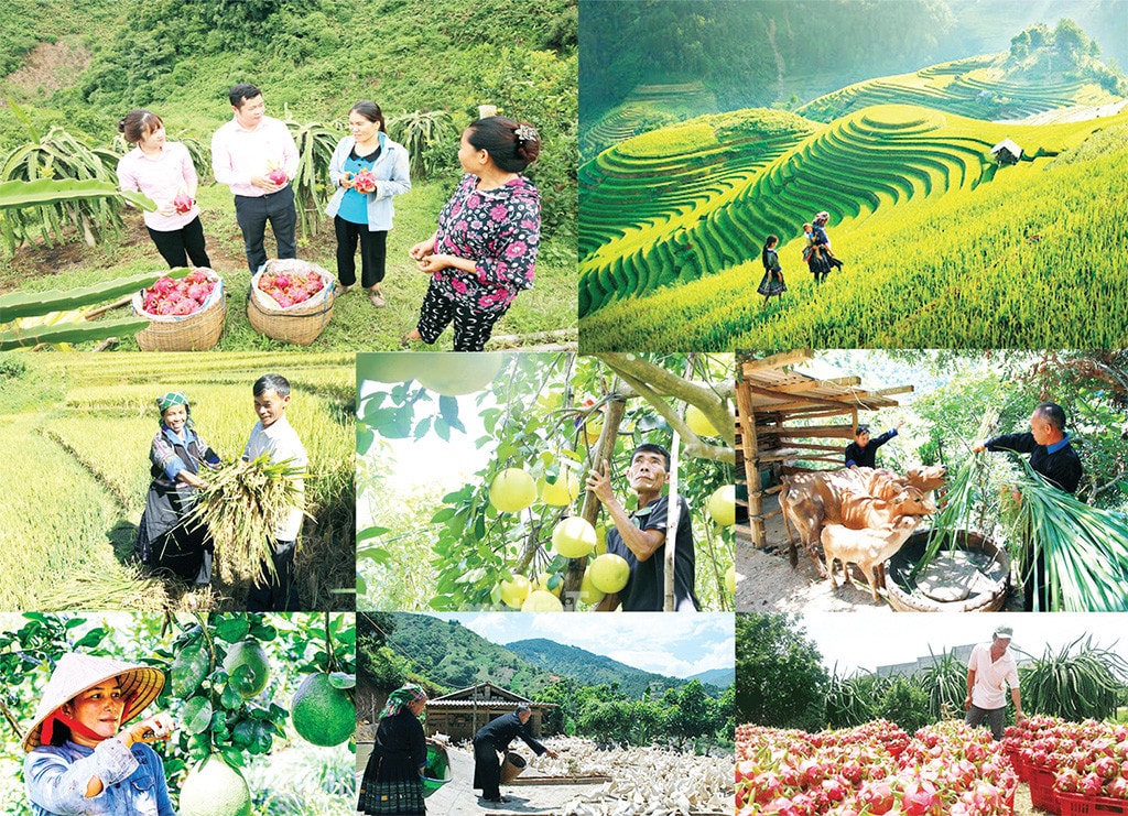 Bài 3: Không để ai bỏ lại phía sau -0